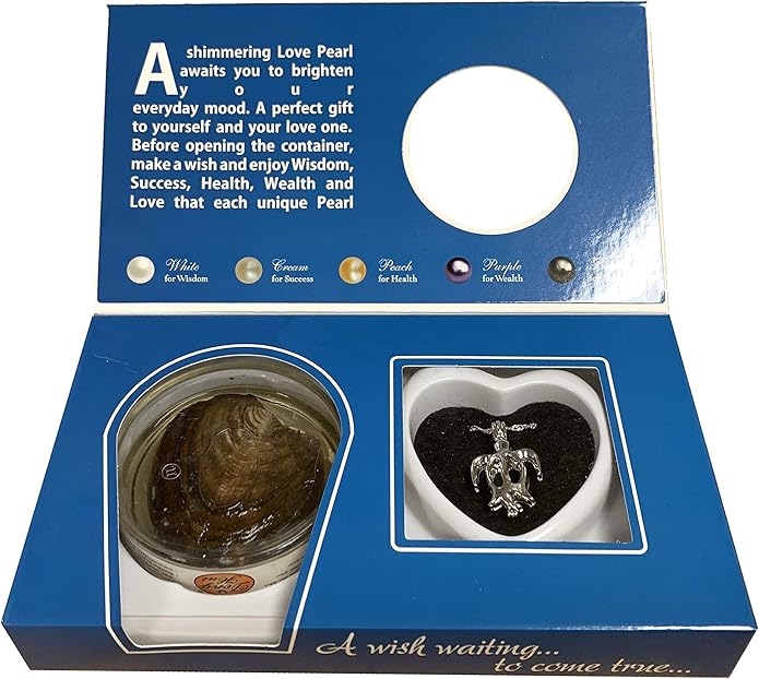Official Make A Wish Necklace - 2025 Mothers Day Gift